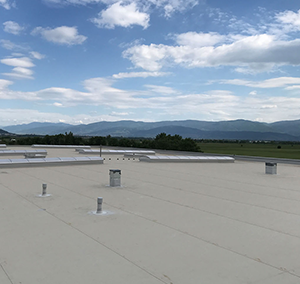 МАН – Пловдив 2017