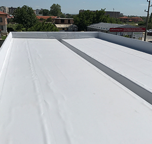 Бензиностанция – Инса – 2017